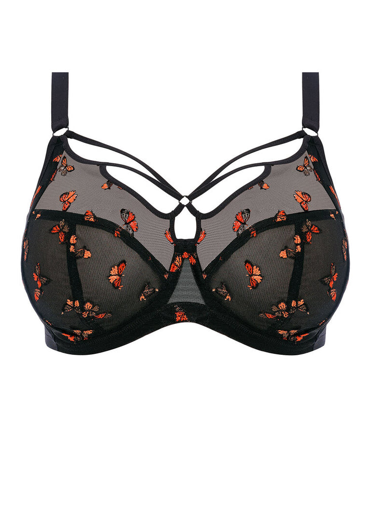 LE LOYAL - JMS bra without underwire – Boutique Intimoda