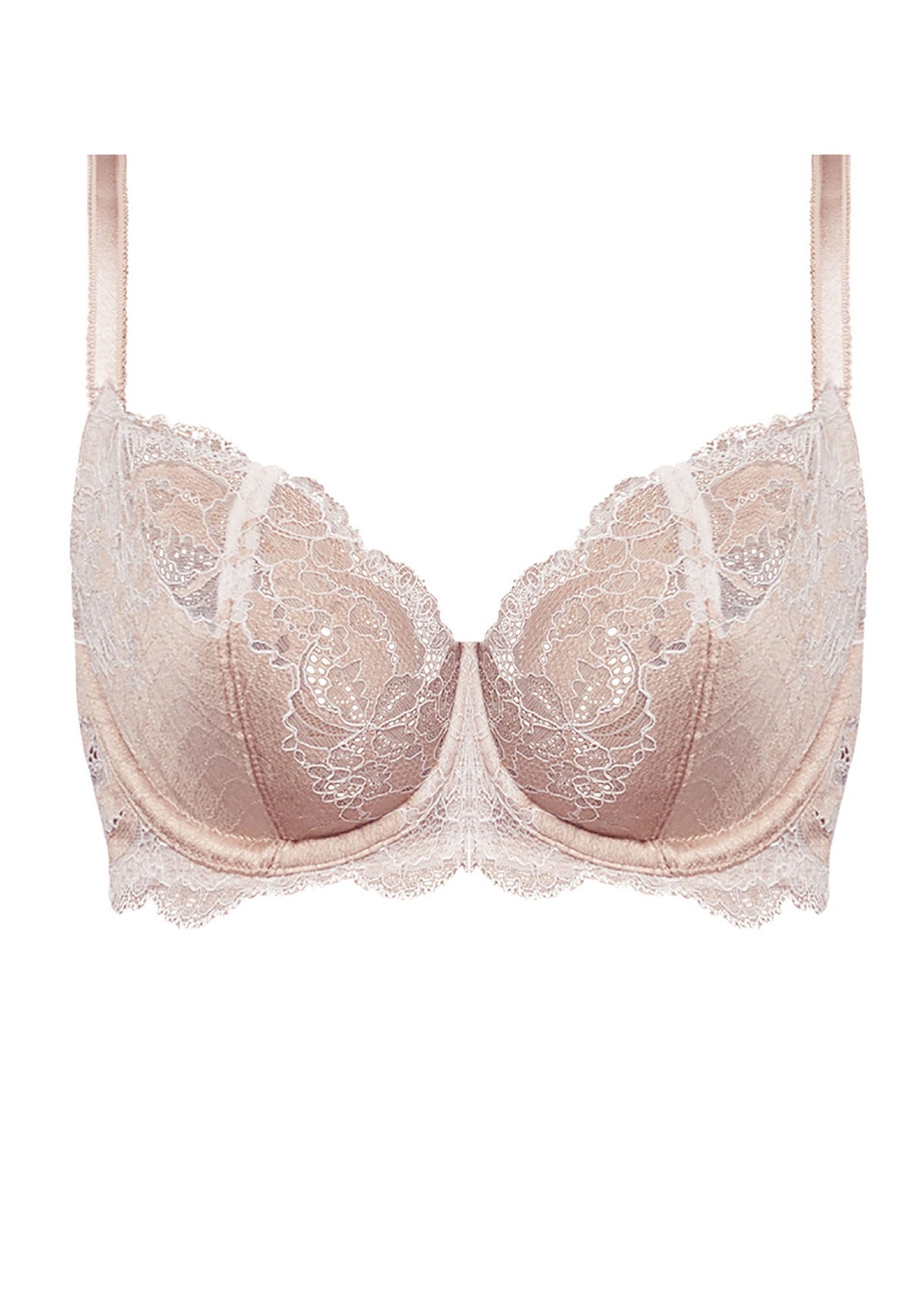 Lace Affair Classic Underwire Bra - Rose Dust / Angel Wing – Leia Lingerie